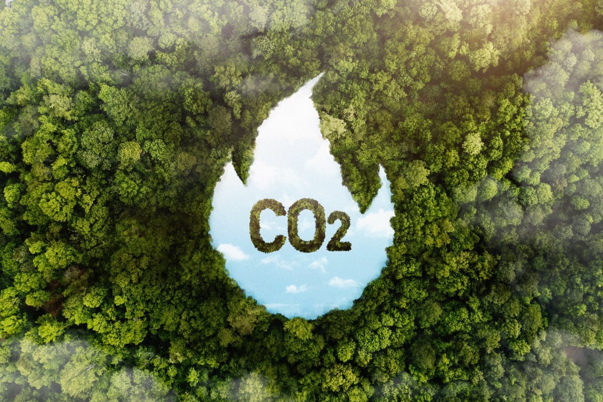 carbon footprint คืออะไร