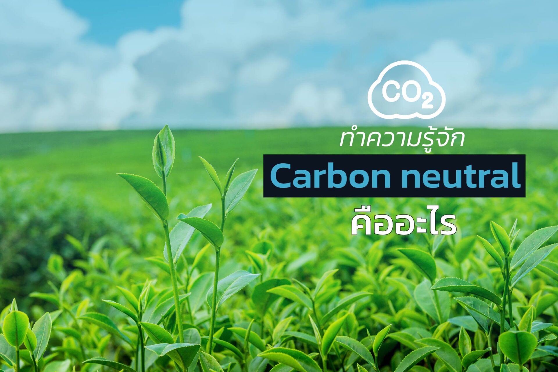 ทำความรู้จัก Carbon neutral คืออะไร