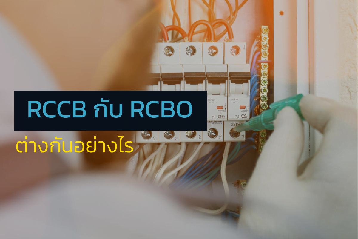 RCCB กับ RCBO ต่างกันอย่างไร